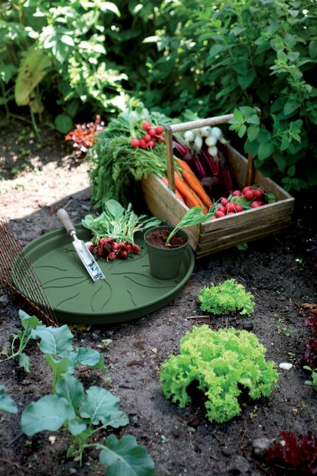 green basics soucoupe 14cm leaf green